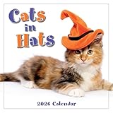 Cats in Hats 2026 Mini Wall Calendar, Funny Cat Photography in Costumes, 7