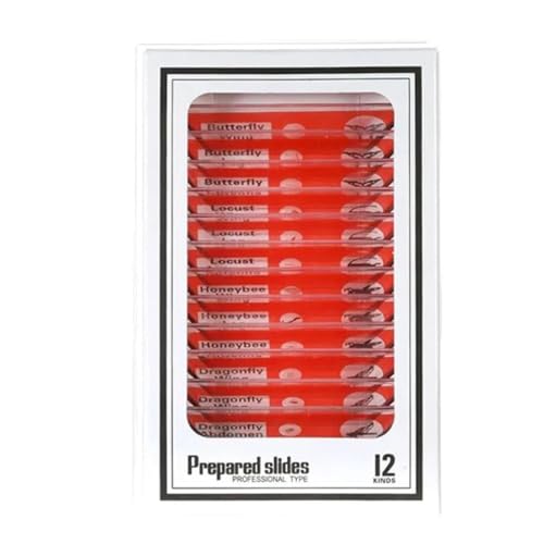 Lbg XChȊwANZT[ YA_v^[(3)