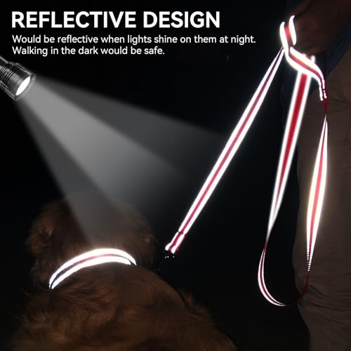 Joytale Hundeleine für Große und Mittelgroße Hunde, Doppelseitig Reflektierende Leine Hund aus Nylon mit Gepolstertem Griff, 1,8m x 2,5cm, Rot