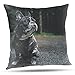 YodSHcEN 45x45 cm Dekoracyjne poszewki na poduszki Buldog poszewek na poduszki 18x18 Inch poszewka na poduszkę na sofę, kanapę, łóżko i samochód /I#006