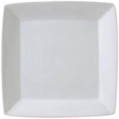 ARG-S8P Signature Square Plate 9"- 2 doz