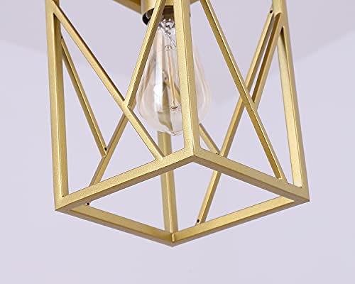 Fivess Lighting Modern Gold Pendant Light with Metal Cage, One-Light Adjustable Rods Mini Pendant Lighting Fixture for Kitchen Island Cafe Bar Farmhouse by Fivess Lighting - Image 5