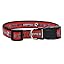 Louisville Cardinals