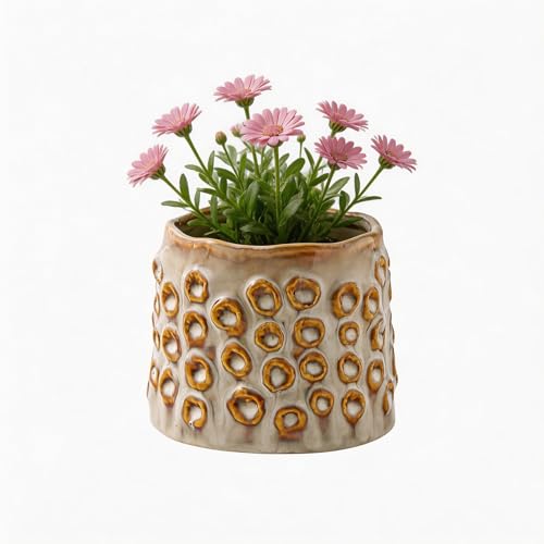 Plant Flower Pot, Small Ceramic 4.5" Modern Flower Pots for