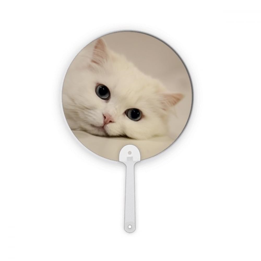 Chat blanc animal relax portable rond en plastique pour objet décoration artisanat