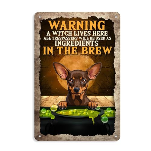 Attenzione a strega fegato qui tutti i trespassers will be used as ingredients in the brew decorazione di Halloween Terranova divertente segno cane personalizzato nome cortile cartello decorazione per