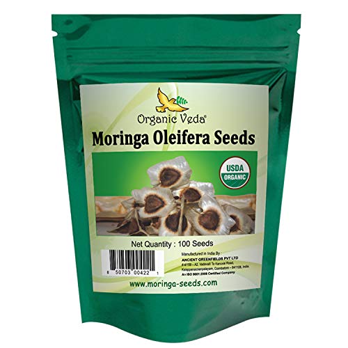 Organic Veda Moringa Oleifera Seeds (Pack of 100) for Planting from India | Organically Grown Miracle Drumstick Tree Moringa Seeds | Non-GMO