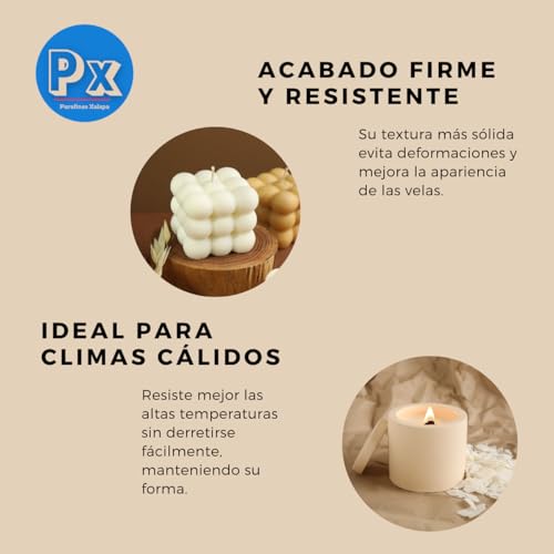 Catálogo de Cerafit fusion los 5 más buscados. 6 cerafit fusion marca Genérico (3)