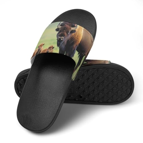 Bison Family Mom And Little Slippers for Men Wormen Shower Bathroom Slipper Indoor Beach Non Slip Sandal4