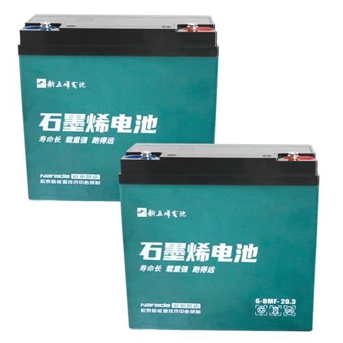 2 Pack Go Kart Batteries 12V 20Ah 6-DZM-20 Battery Sealed