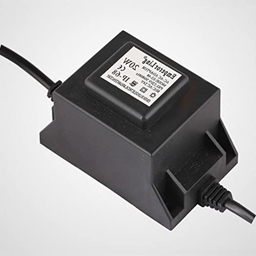 2 Pezzi Trasformatore Luci Di Natale 31V 6W Alimentatore, 8