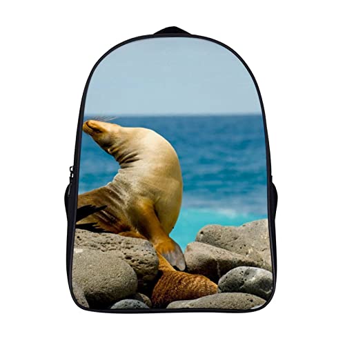 Mochila escolar de moda para adolescentes que buscan espacio y estilo
