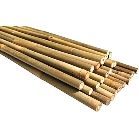 Dlh Western Natural Bamboo Poles, Eco-Friendly Plant Support Garden Stakes 4ft Long, Diameter of 3/8" (25-Count) Cover