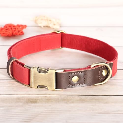 Didog Weich gepolstertes Lederhalsband für mittelgroße Hunde, klassisches Hundehalsband mit Metall-Schnellverschluss, verstellbar, mittelgroß, Kunstleder, Rot, M