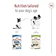 ROYAL CANIN X-Small Adult | 12 x 85 g | Feuchtnahrung für ausgewachsene und besonders kleine Hunde | Ab dem 10. Lebensmonat | Mit Häppchen in Soße | Im Pouchbeutel