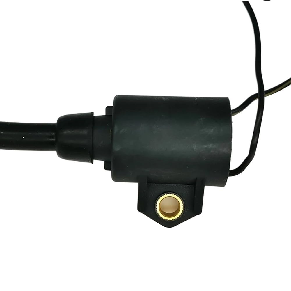 PEGGYLIN Bobina del Sistema di accensione Adatta for Motore fuoribordo Yamaha Parsun Powertec Hangkai 2 Tempi 15 CV