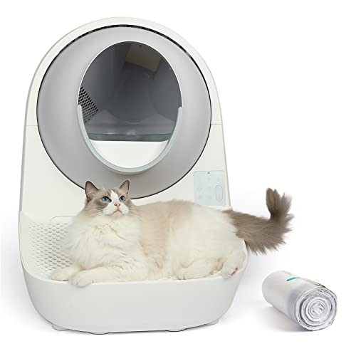 The Best Automated Cat Litter Box Tested & Proven BMI Calculator