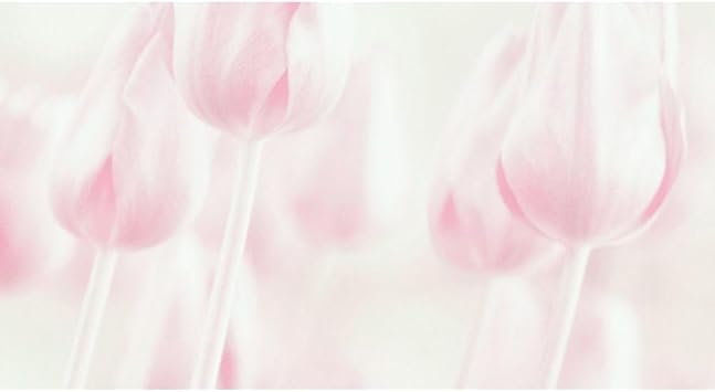 ArtDirect Softness Unframed Art Print Giclee Poster by Devos, Delphine - Ready for Framing with Customization Sizes 10x5, 14x8, 20x11, 36x20, 48x26, and 60x33 Inches