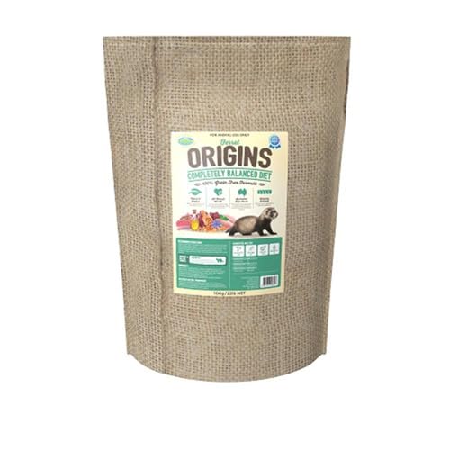 ferret food