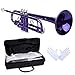 Kcelarec Brass Standard B Trumpet Instrument with Case,Gloves, for Student Beginner (Black)