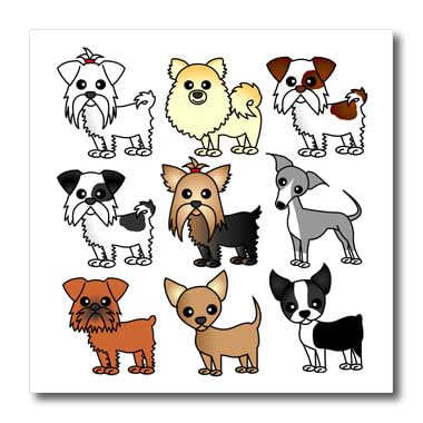 3dRose Janna Salak Designs Dogs - Cute Toy Breed Dogs - 8x8 Iron on Heat Transfer for White Material (ht_12099_1)