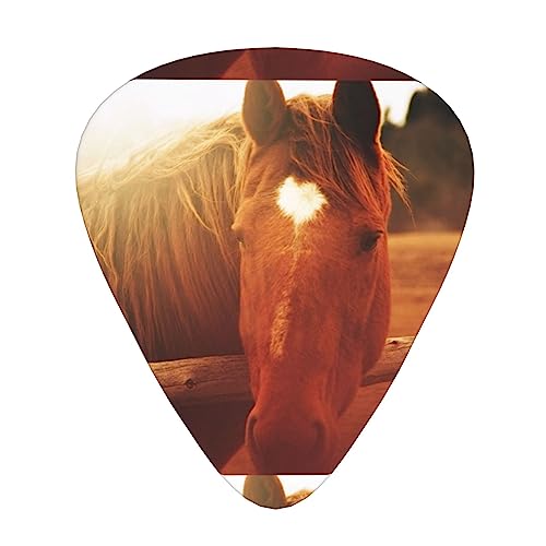 ブラウンホースサンシャイン ギターピック Guitar Pick 12枚セット ティアドロップ型 エレキギター/アコースティックギター/クラシックギター/ベース等の練習に最適な12枚セット