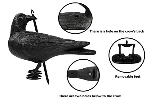Guguluza Crow Decoys Full Body Plastic Crow Decoy For Hunting, Black Flocked Crow Decoy W/Feet Stake For Halloween Decor Yard Garden Decoration (Black) #TOP5