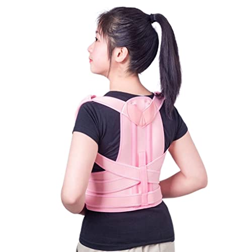 pxg Lwxg Lw΍ w؋xg pT|[g qp jp lp L