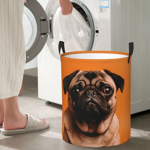Panier à linge sale pliable imperméable grand modèle carlin autonome d'angle - 6