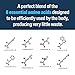Advanced Bionutritionals – Advanced Amino Powder, Amino Acid Supplement, Build Muscle, Post Workout Recovery, Energy,Non-GMO, Gluten Free, Dairy Free, Vegan (30 Servings)