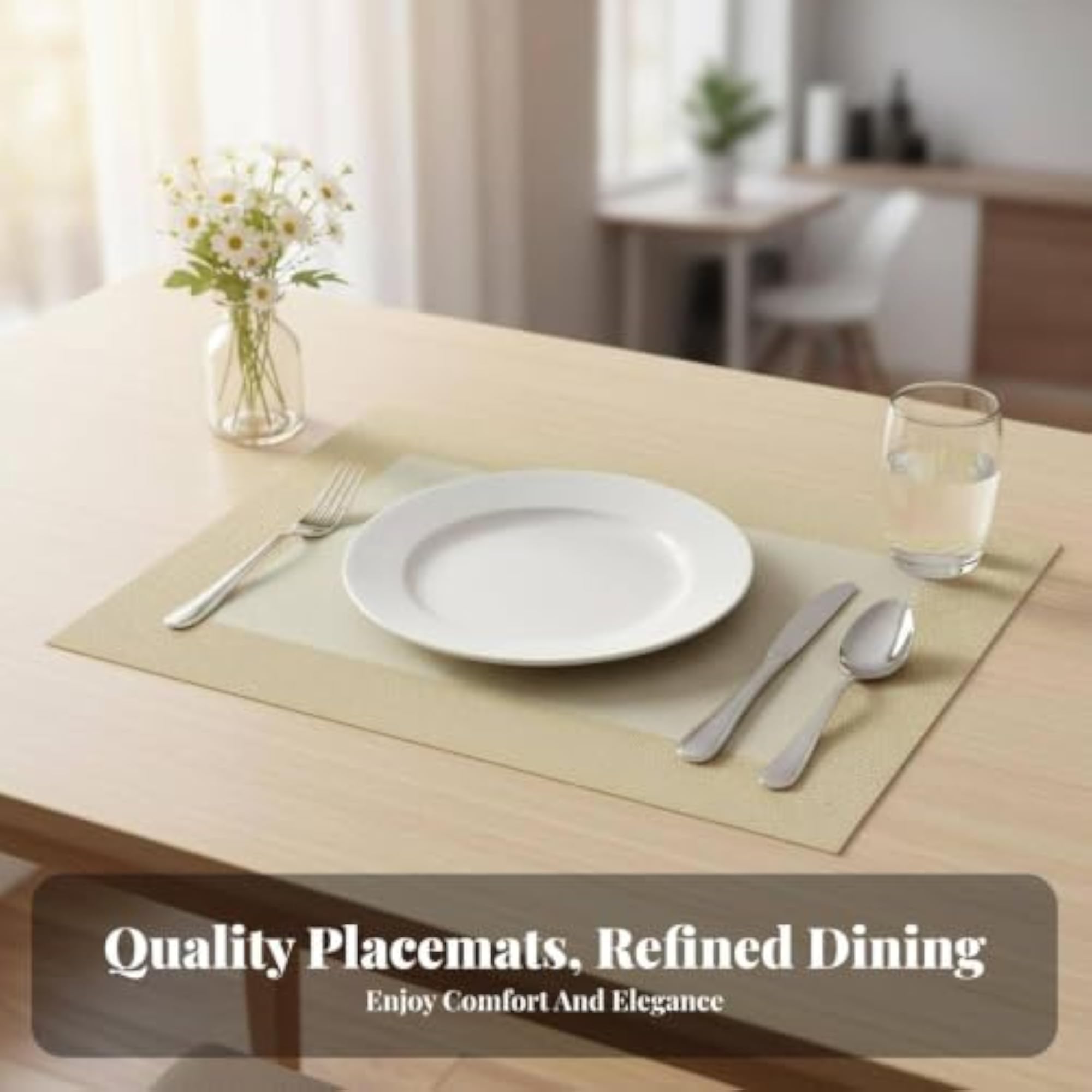 Heat Resistant Placemat, Modern Minimalist Design, Gift Set