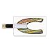Produktbild 64GB USB-Flash-Thumb-Laufwerke Buchstabe C Bank Kreditkarte Form Business Key U Disk Memory Stick Speicher Dekoratives Design Digital konstruiertes Mehrfarbenbild ABC-Alphabet pädagogisches dekorativ