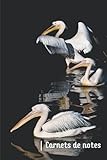 pelican kayak 100x angler  Carnet de notes pélicans: 100 pages lignées au format A5 pour noter toutes vos pensées
