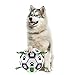 Juguete para perros, pelota de fútbol con botella de agarre, juguete interactivo con bomba de bola y aguja de 6 pulgadas, duradero para perros pequeños y medianos