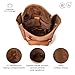 BERLINER BAGS Vintage Genuine Leather Backpack Leeds, Travel Backpack, Laptop Backpack for Women and Men - Brown