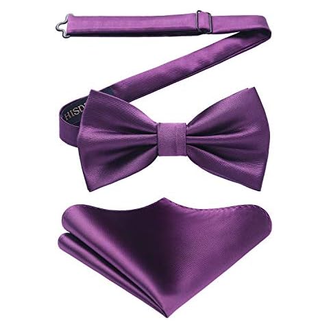 Nœud Papillon HISDERN Violet Cover