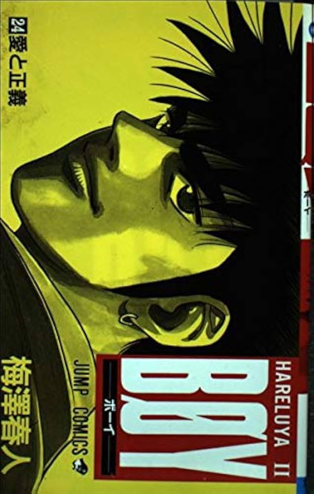 Boy―HareluyaII (24) (ジャンプ・コミックス) | 梅澤 春人 |本