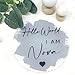 10 Pieces Clear Circle Acrylic Sheet 6 Inch Acrylic Plexiglass Disc Transparent Round Acrylic Sign for Baby Milestone Cards, Acrylic Sign, Painting and DIY Projects