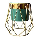 BESPORTBLE Pflanzbehälter Für Veranda Und Balkon Eisen-pflanzgefäß Mit Stand Für Büro Und Zimmer Dekotopf Für Sukkulenten Und Grünpflanzen Pflanzenhalter Für Innenbereich