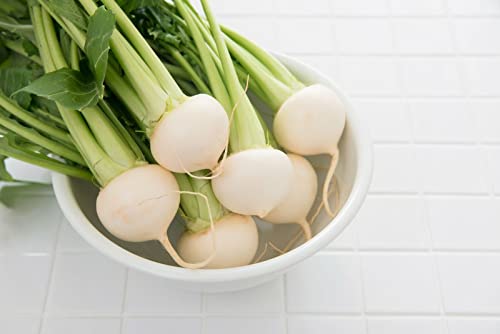 Buy4seeds 3800 Seeds Organic Turnip Snowball Easy to Grow
