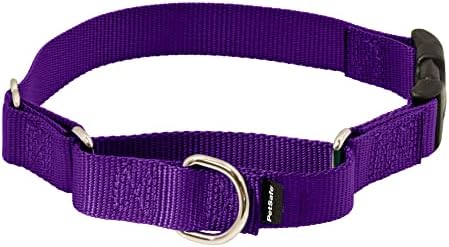 PetSafe Martingale Collar with Quick Snap Buckle, 1" Medium, Deep Purple