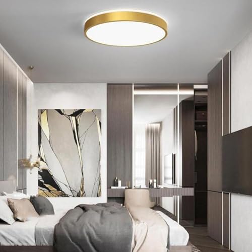 Plafón LED de techo moderno con diseño delgado y regulación de tres colores para salón 5