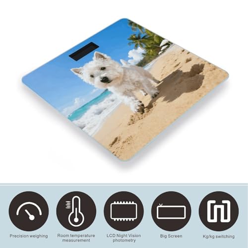 Báscula Digital de Baño con Pantalla LCD y Base Antideslizante miniatura 3