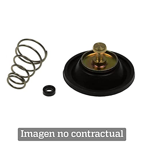 923054 - Kit di riparazione della pompa