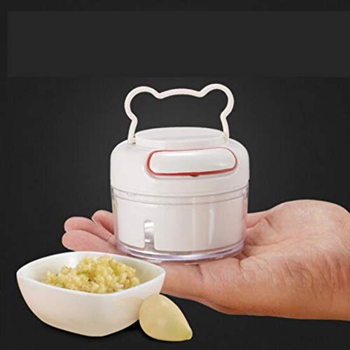Best Mini Food Chopper