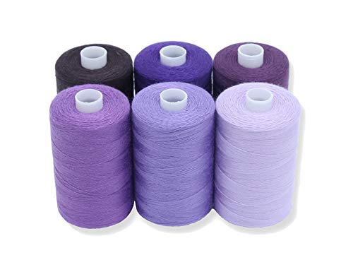 BlesSew Sewing Thread in Purple Color Tones – 6 Spools of Polyester Thread for Sewing Machine for Beginners, Hand Stitching & Quilting - 1000 yds per Spool