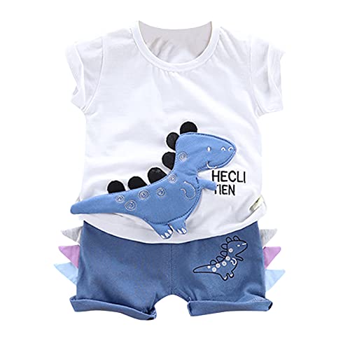 Roupas infantis para meninos de 6 meses a 3 anos camiseta de dinossauro 3D + shorts moda casual conj
