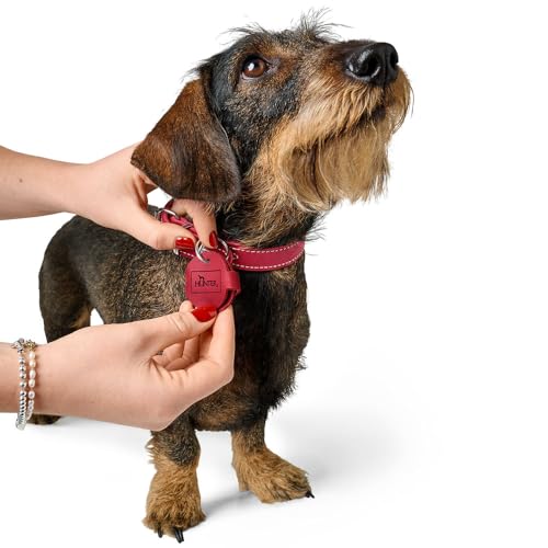 HUNTER Anhänger Hundemarken-Etui Aalborg Farbe schwarz, Größe S
