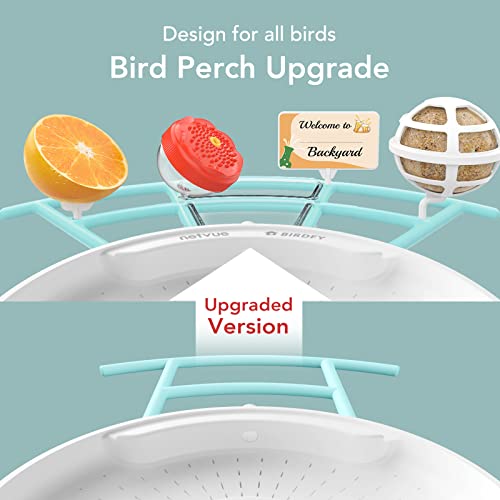 NETVUE Birdfy Pro Perch - Wider Extension Perch to DIY Add-ons Including Suet Ball, Mini Hummingbird Feeder, Fruit Holder, Jelly Feeder and Welcome Card, Birds