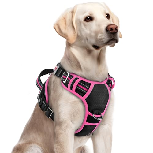 rabbitgoo Dog Harness for Large Dogs, No Pull Pet Vest with 3 Buc...